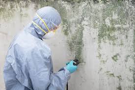 Best Mold Odor Removal Services  in Cleveland, OH